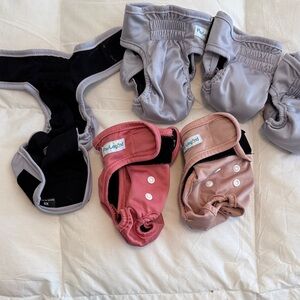 6 Dog Diaper Set XSmall